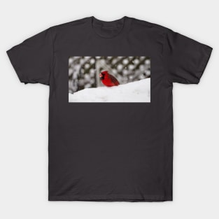 Male Northern Cardinal In The Snow On A Bird Feeder T-Shirt